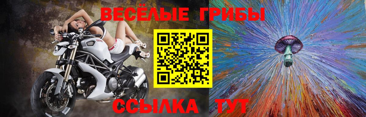 Псилоцибиновые грибы Magic Shrooms  Псилоцибиновые грибы прущие грибы  Вход с VPN  Ачхой-Мартан 